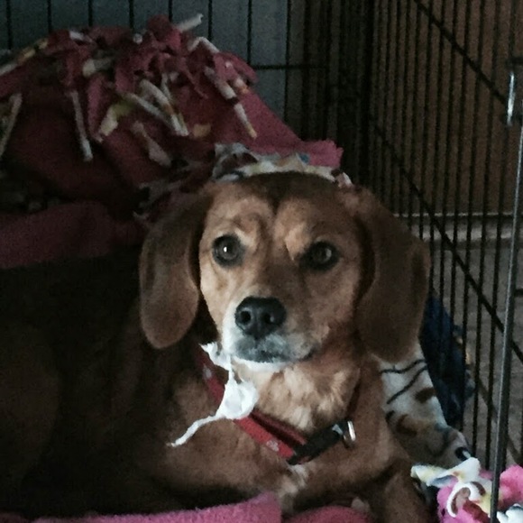 Meet your Posher, Susan - Picture 1 of 1